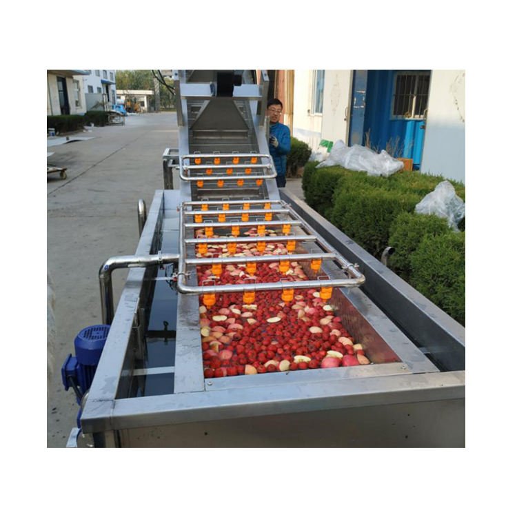 Direct From Factory Commercial Bubble Washer Vegetable Bubble Washer Machine With Roller Brushes for Sale