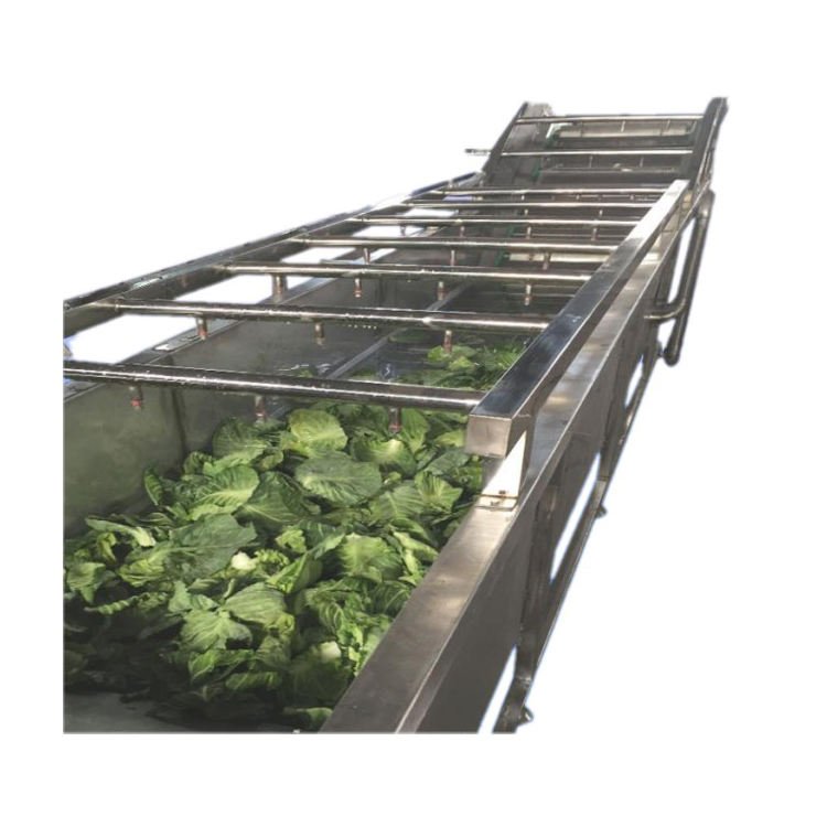 Direct From Factory Small Easy Salad Vegetable Cleaning Washing Machine Fruit Washer Price for Sale