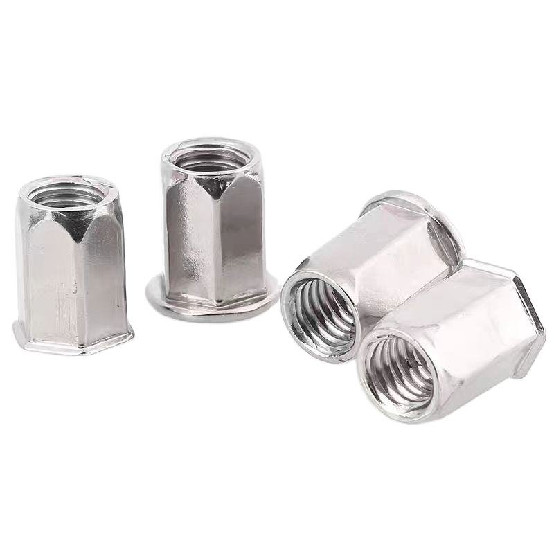 Direct From Factory Direct Sale Stainless Steel Full Hex Rivet Nut Flat/Countersunk Head General Use for Mining Applications